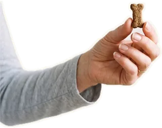 Hand holding a treat